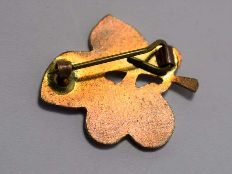 146) Vintage 1950s Robertsons Fruit Pin Badge — image 2