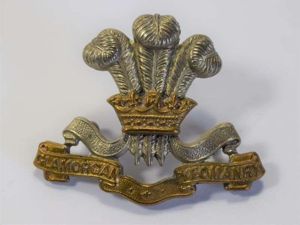 12) Good Original WW1 WW2 Cap Badge The Glamorgan Yeomanry
