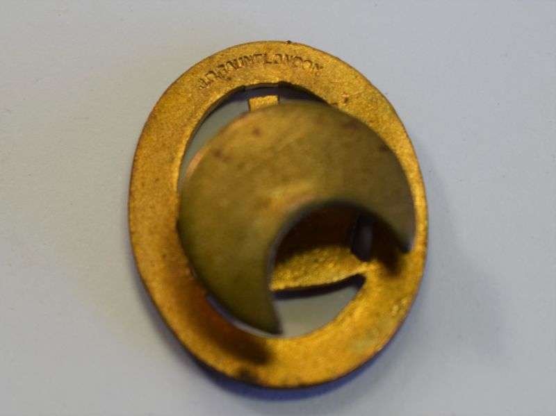 22) Excellent Original WW1 Notts National Reserve Lapel Badge — image 2