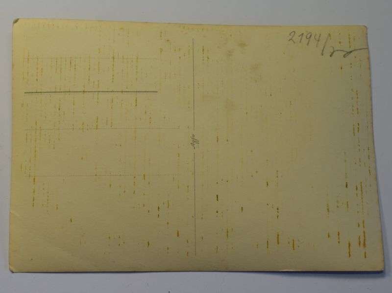 14) Excellent Original Portrait Photo of WW2 German Soldier — image 2