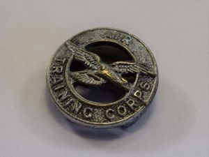 12) WW2 Air Training Corps Lapel Badge