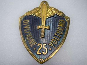 V) Original WW2 Italian 25th Divisione Volturno Sew on Metal …