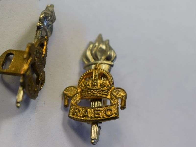 75 Early Post WW2 Kings Crown RAEC Collar Dog Pair — image 3