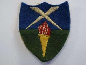 9 Original Aldershot Command Cloth Badge