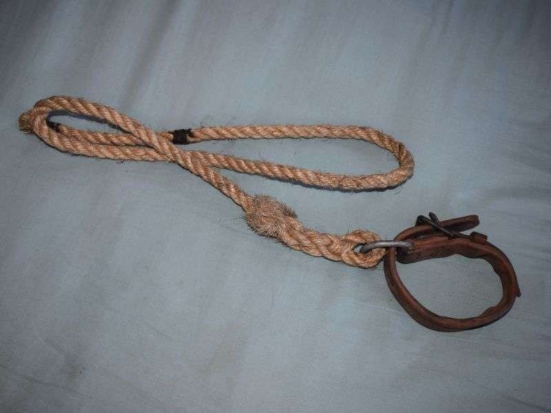 88) Excellent Original WW2 British Cavalry Horse Hobble Dated 1944 — image 7