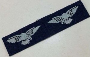 Original UN-Cut WW2 RAF Albatross Insignia Pair