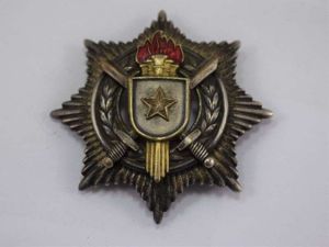 Vintage Yugoslavian? Silver Breast Badge Award