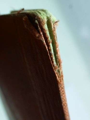 32 WW2 British Civilian Identity Card Wallet — image 4