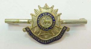 WW1 WW2 Hertfordshire & Bedfordshire Sweetheart Brooch