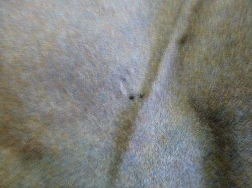 1965 Dated Royal Marines Lovat Suit Serge Jacket & Trousers — image 18