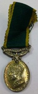 Lovely GRVI Territorial Efficiency Miniature Medal