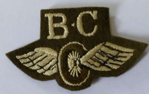 WW2 British Bren Gun Carrier Driver Qualification Badge — image 3