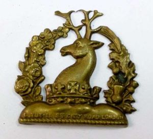 Ancient Order of Foresters Friendly Society Badge