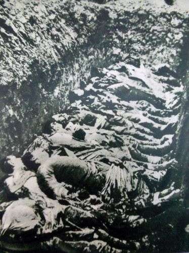 WW2 British Air Drop Leaflet In German Showing Mass Grave — image 3