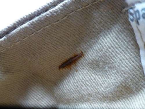 1944 Dated ATS Anti-Mosquito Spats — image 2