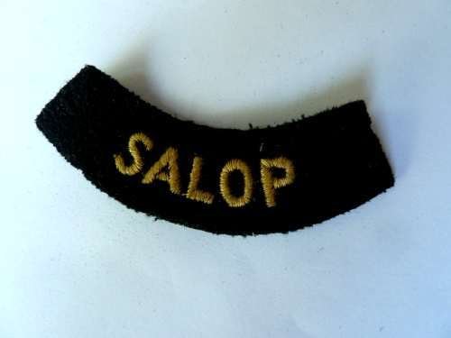 WW2 ARP & Civil Defence Breast Title For SALOP — image 2