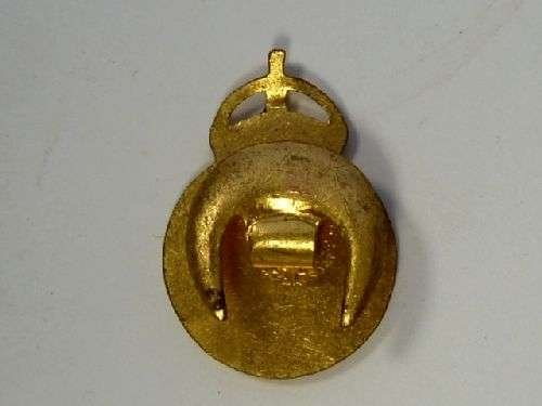 Civil Defence Corps Enamelled Lapel Badge — image 3