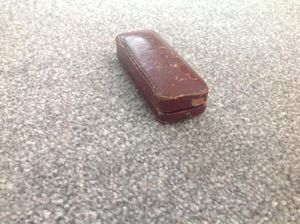 German ww2 DRL stickpin in Presentation Case