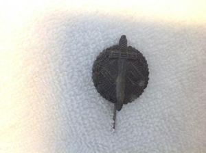 German ww2 Winterhilfswerk Stickpin