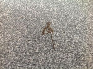 Third reich NSBO Stickpin