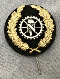 Third Reich TENO Officers Pin