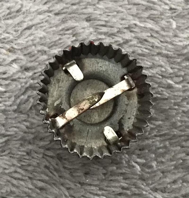 Third Reich TENO Leaders Cockade and Laurel Leaf Insignia — image 4