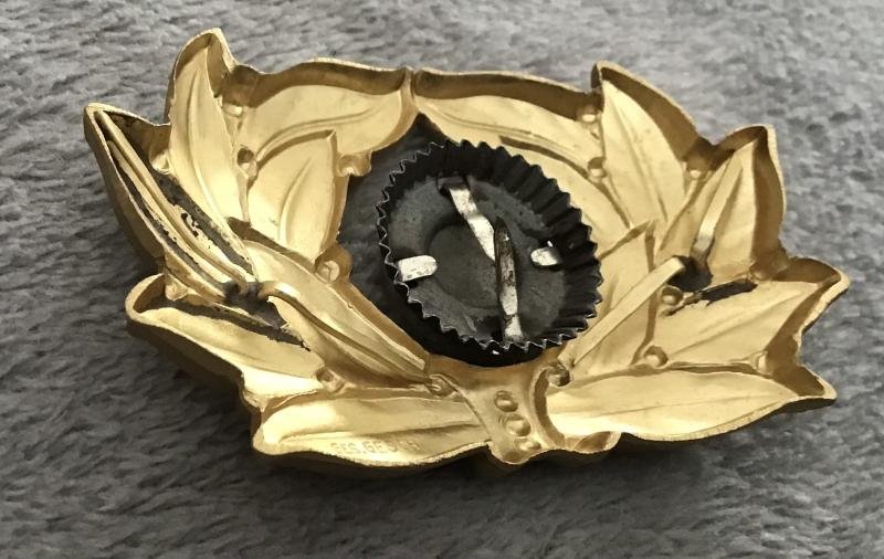 Third Reich TENO Leaders Cockade and Laurel Leaf Insignia — image 5