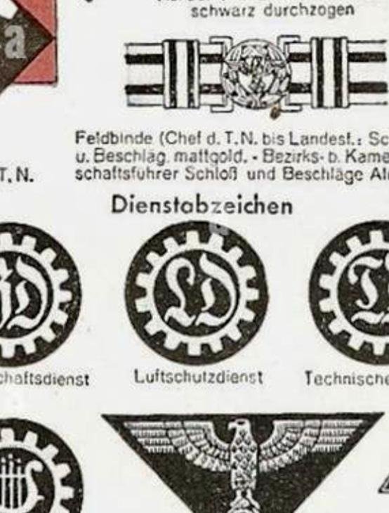 Third Reich TENO Career Arm Patch — image 3