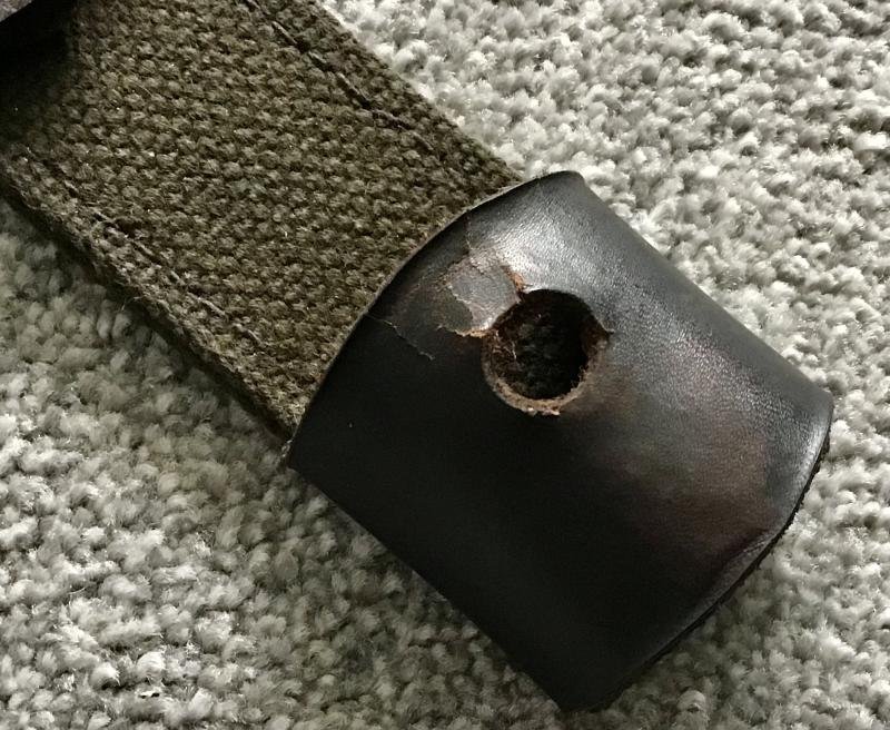 Third Reich Frog — image 3