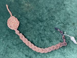 IMPERIAL GERMAN MARKSMANSHIP LANYARD.