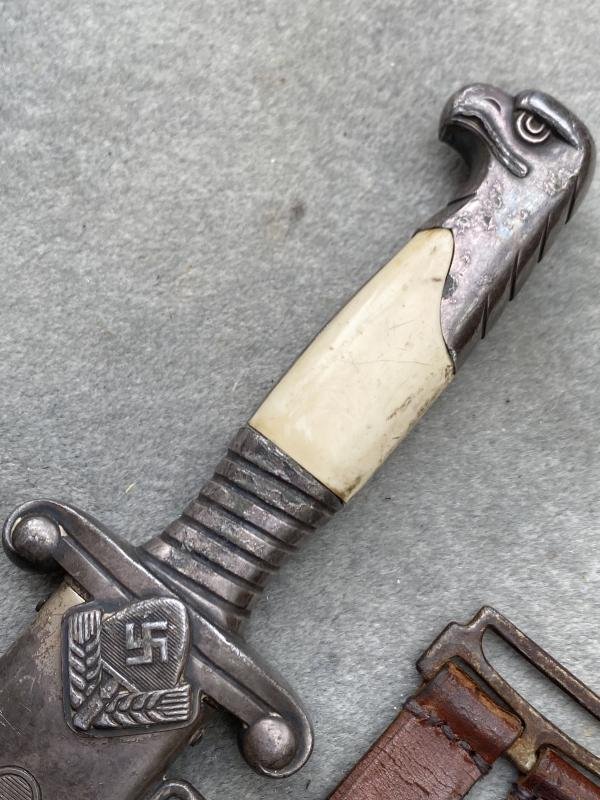 AN EXCELLENT EXAMPLE OF A RAD OFFICERS DAGGER COMPLETE WITH LEATHER STRAPS. — image 3