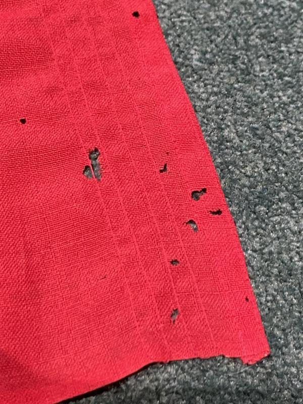 ULTRA RARE SMALLEST SIZED REICHSDIENST FLAG WITH MARINE MARKING. — image 9